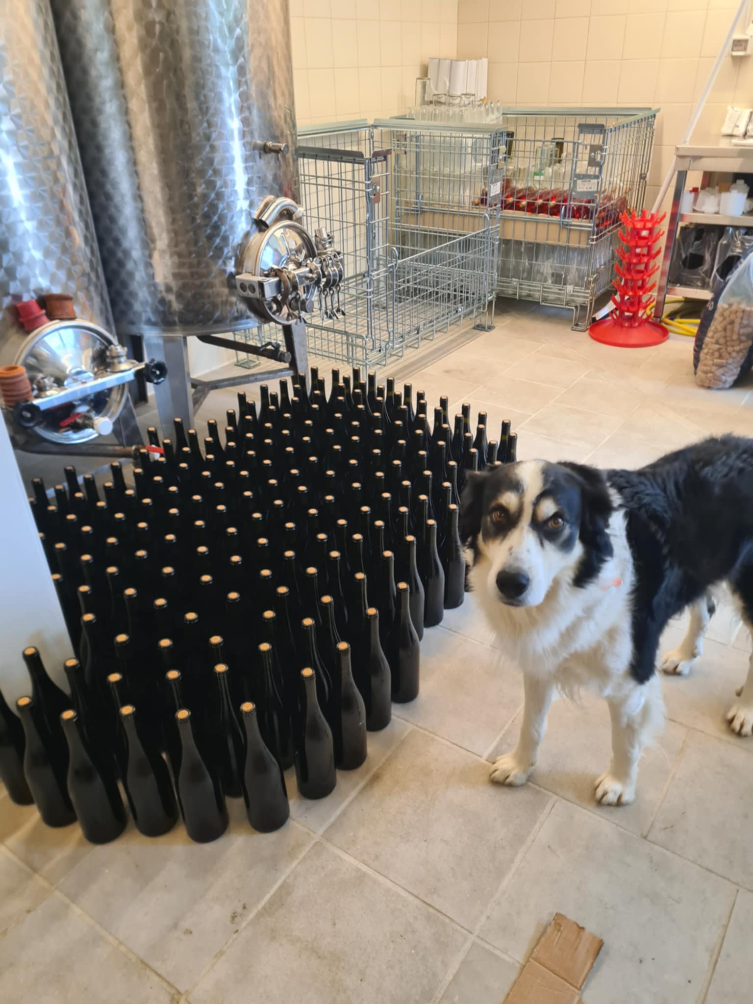 22634c26-fdff-4daf-ace5-4f1640a0220c