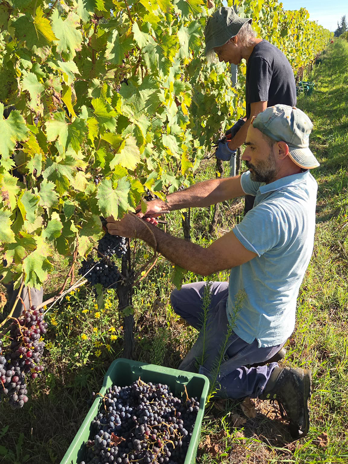 52b8674b-3266-4759-a5c0-b9810e58e4ff