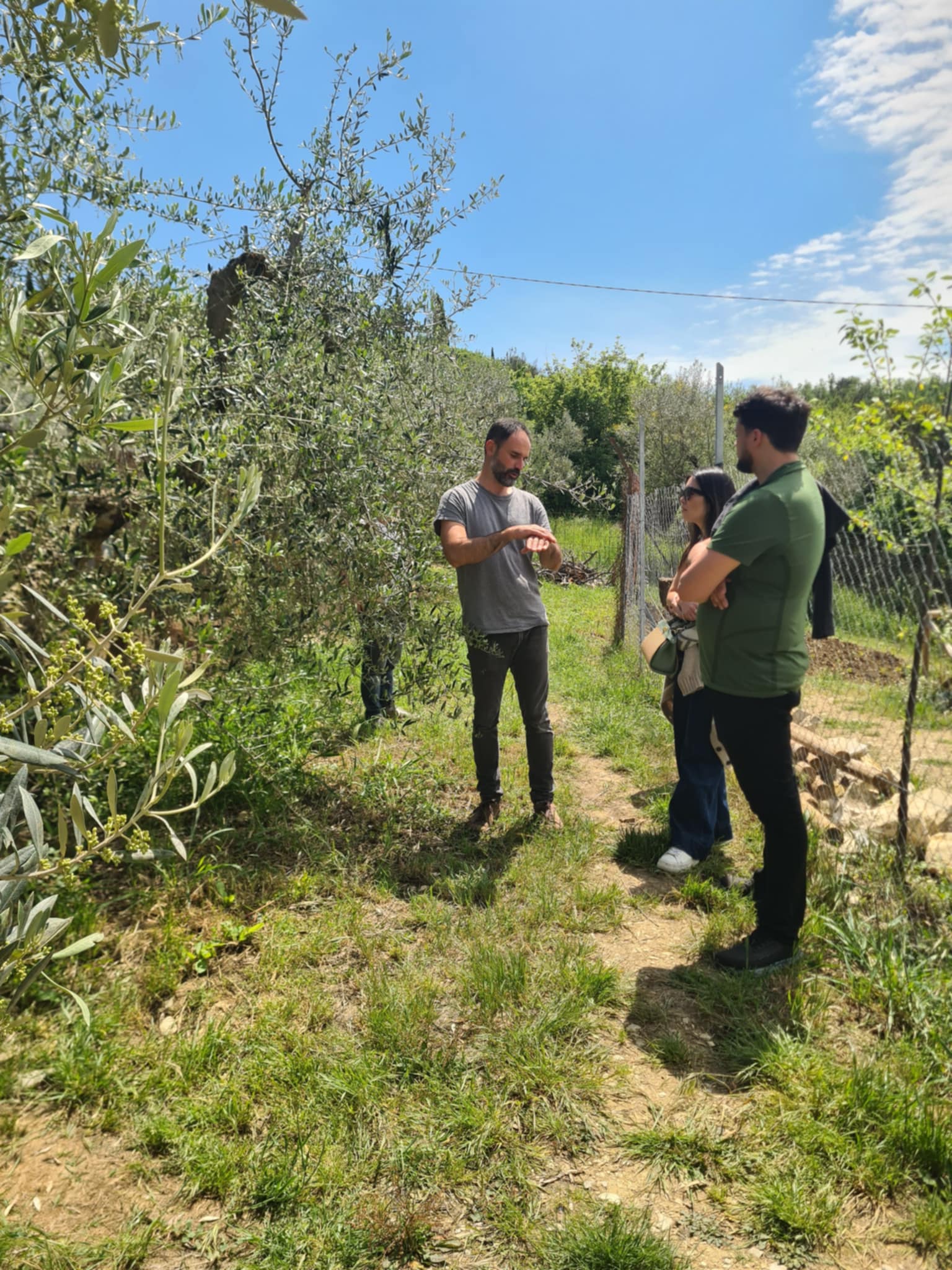 543b171d-7e68-404a-895f-f8f871ab4433 (1)