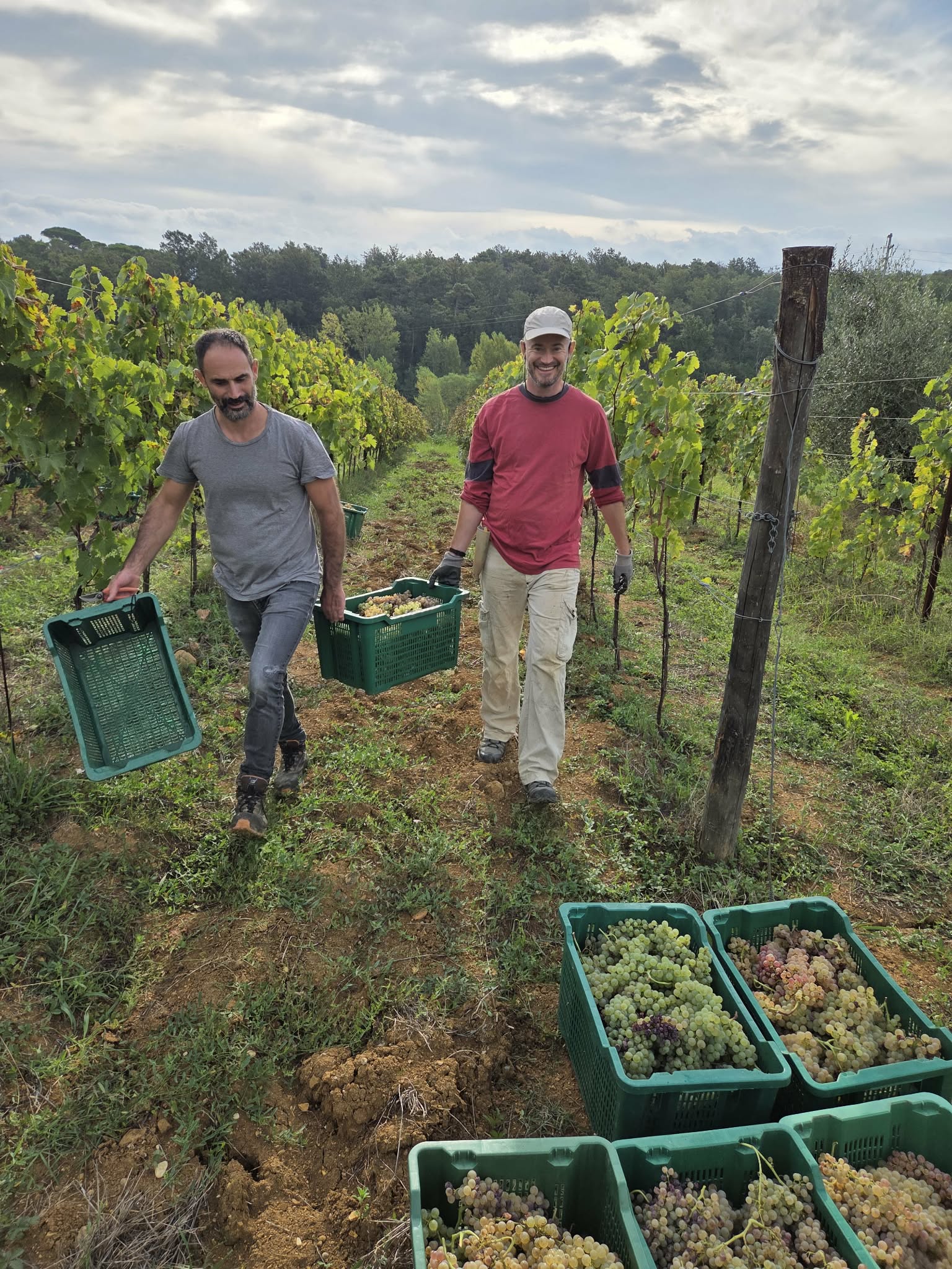 74ae8993-1e46-4791-84de-cc040afde590