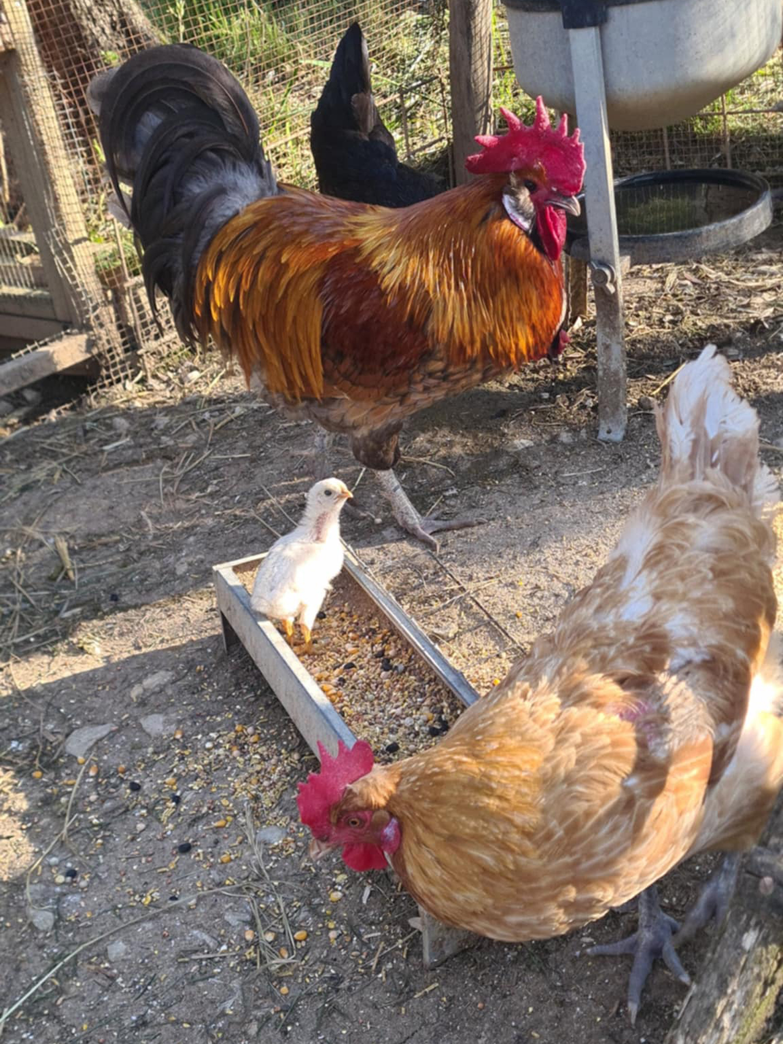 7f0b96c0-c7ba-482d-9264-48d6938bcc85