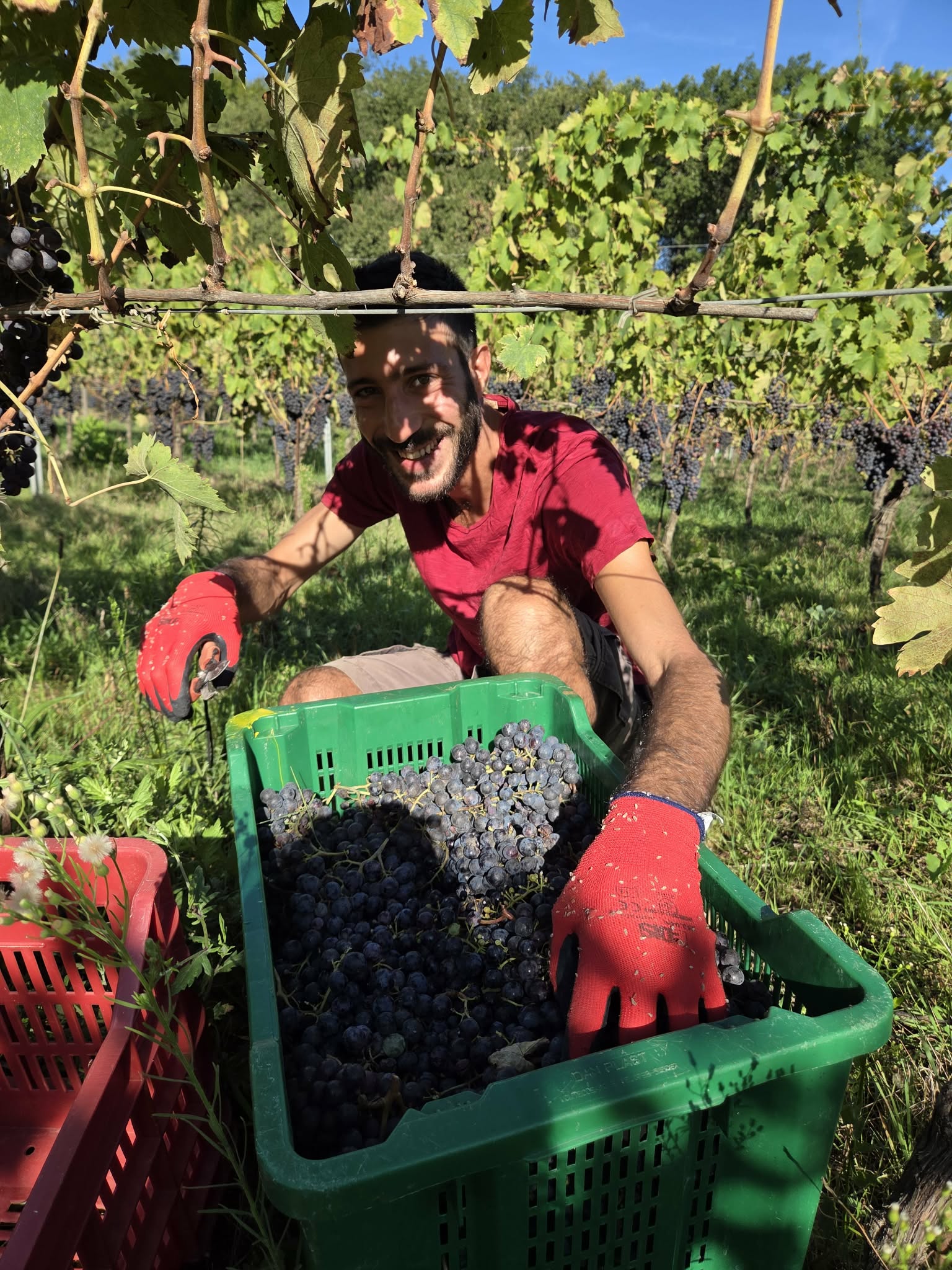 9aa3f99e-a151-44ba-b3c9-e1a514496176