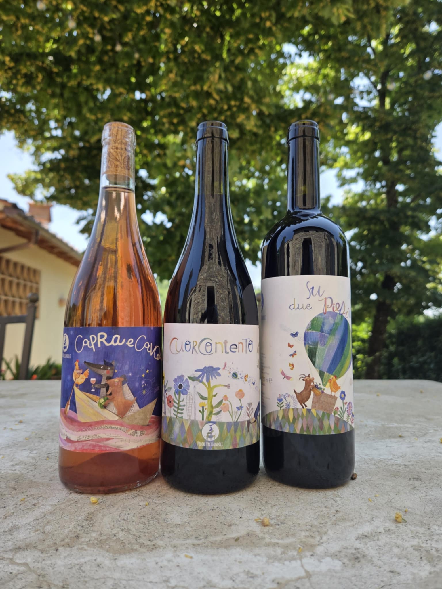 BottiglieVino_GALLERY