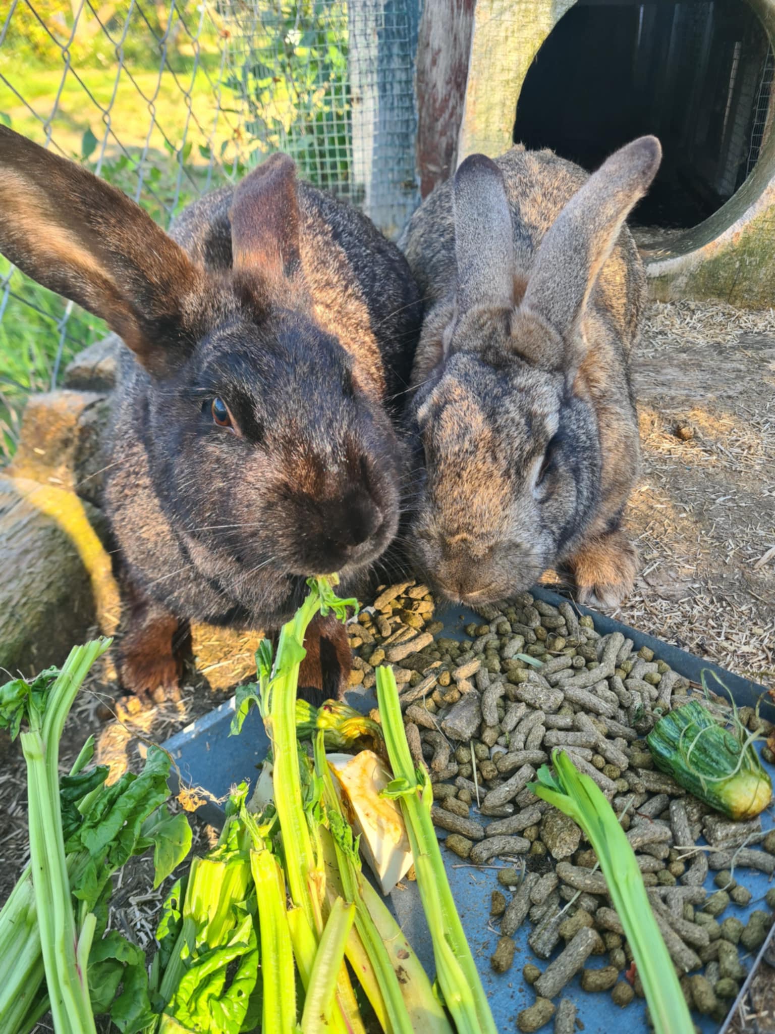 b069991f-0374-488b-a6db-fe7d42a97f0f